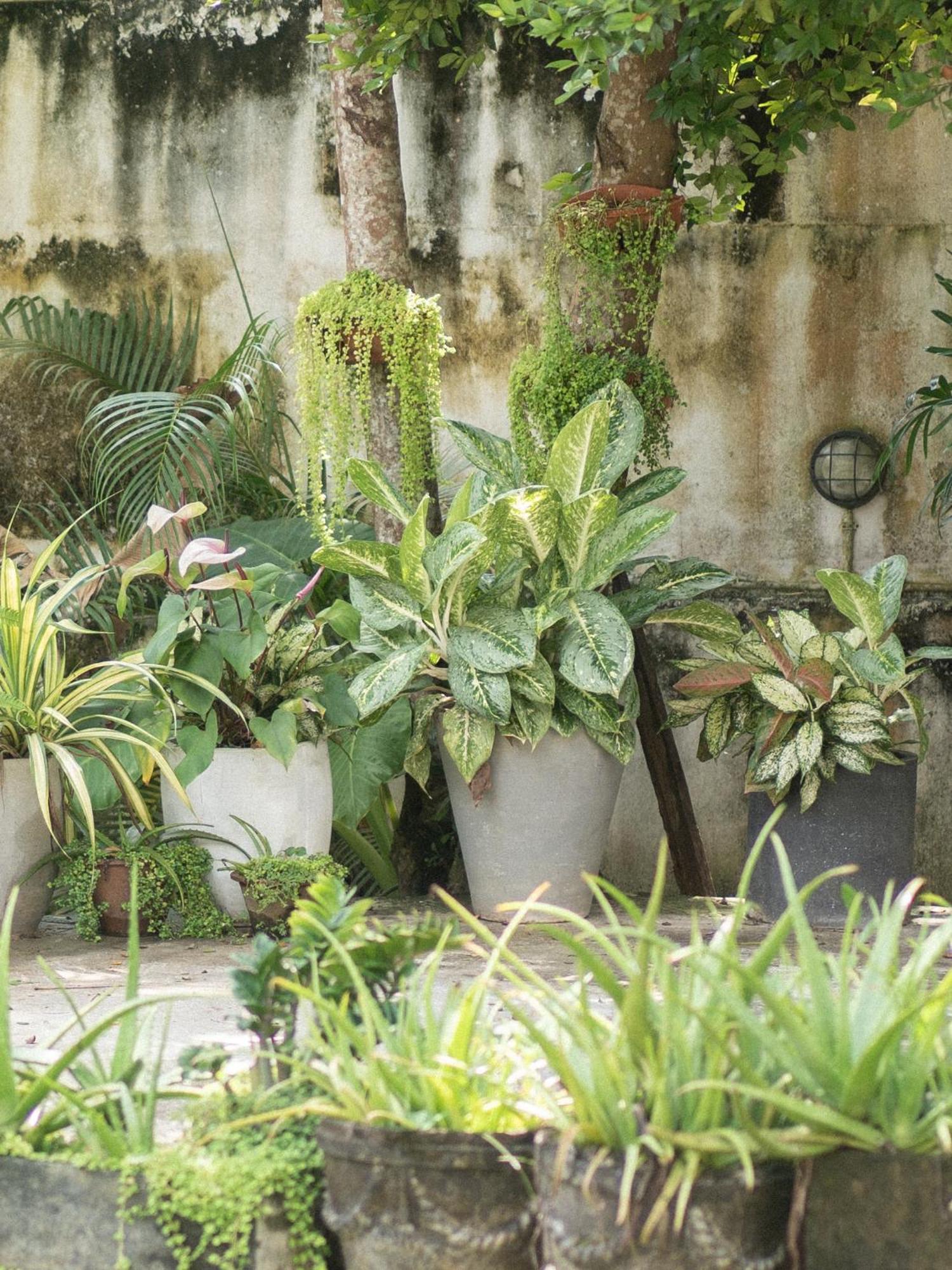 Apartamento Lotus Surf And Wellness Ahangama Exterior foto